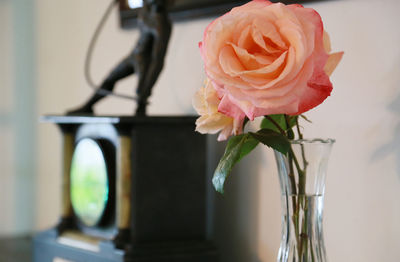 Pink rose decorations in the room