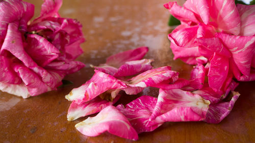 Close-up of pink roses on table