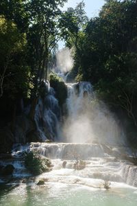 Scenic view of waterfall in forest