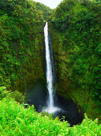 View of waterfall in forest