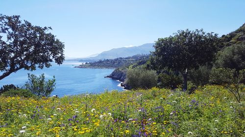 Scenic view of lake against sky