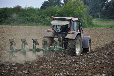 Tractor on field against trees