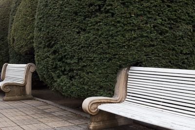 Empty bench in park