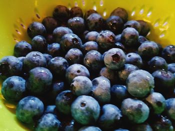 Close-up of blueberries
