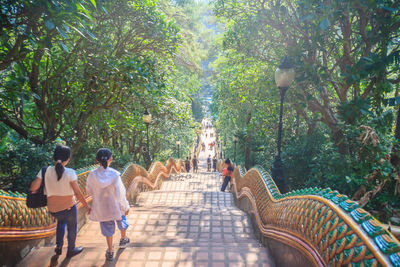 Rear view of people walking on footpath amidst trees