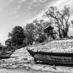 Bare trees against sky