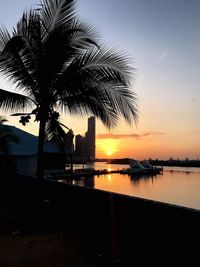 Silhouette palm tree by swimming pool against sky during sunset