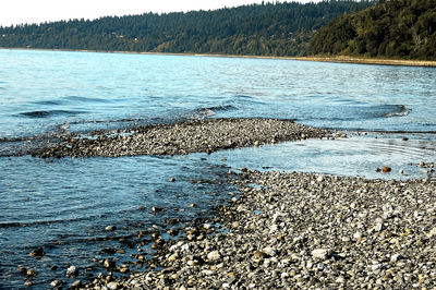 Scenic view of sea