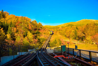 Scenic view of yellow bridge in forest during autumn