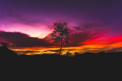 Silhouette trees against sky during sunset