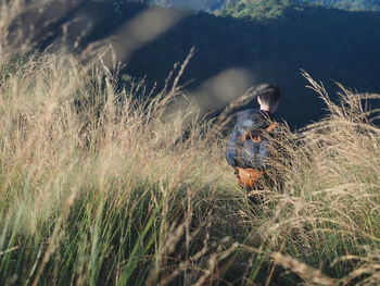 Rear view of backpack hiker walking amidst grass on field