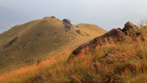 Scenic view of landscape against sky