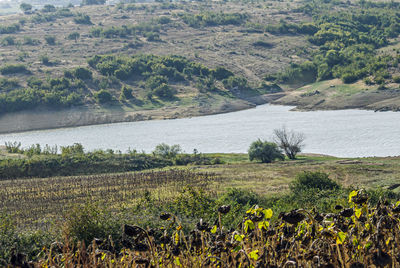 Scenic view of landscape and river