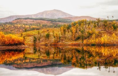 Trees and mountains reflecting in lake during autumn