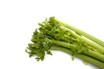 Close-up of vegetable over white background