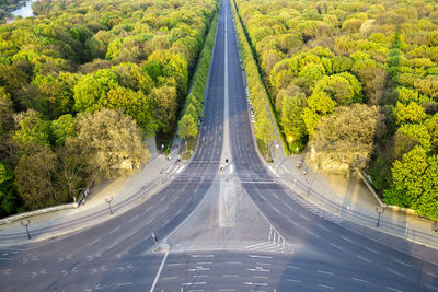 Road passing through trees