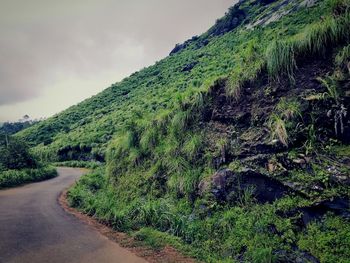 Scenic view of road amidst trees against sky