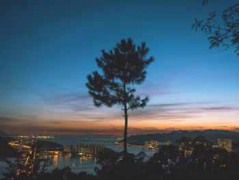 Silhouette tree by illuminated city against sky at sunset