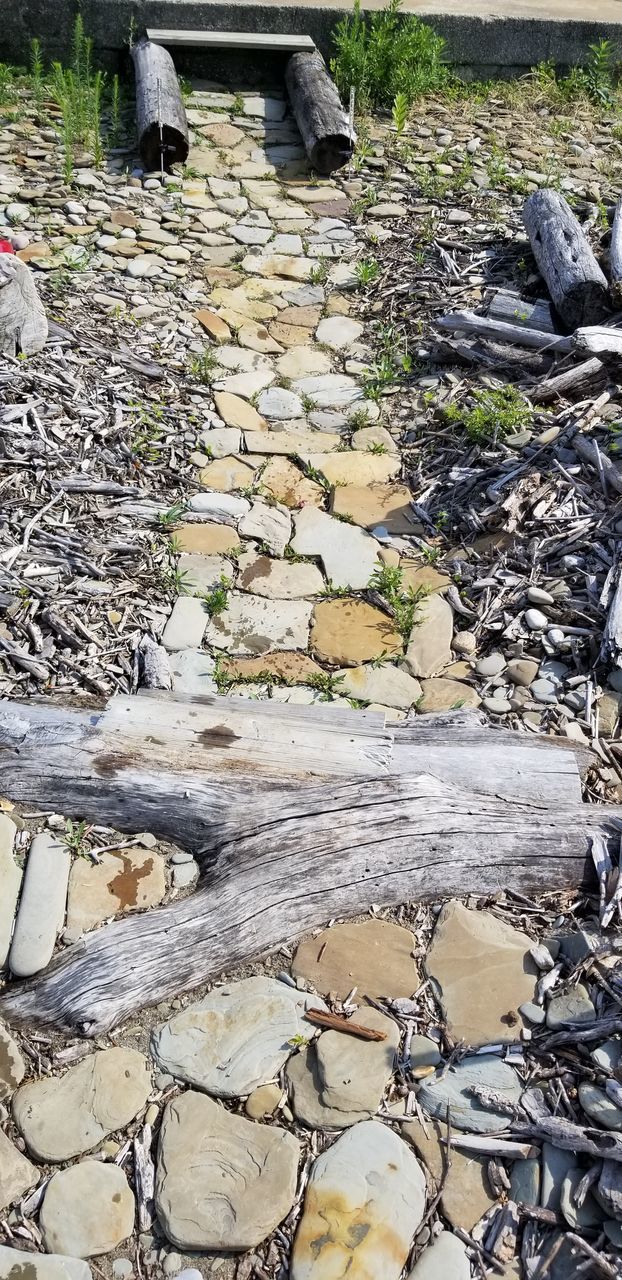 HIGH ANGLE VIEW OF ROCKS IN FOREST