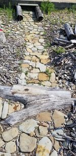 High angle view of stones in forest