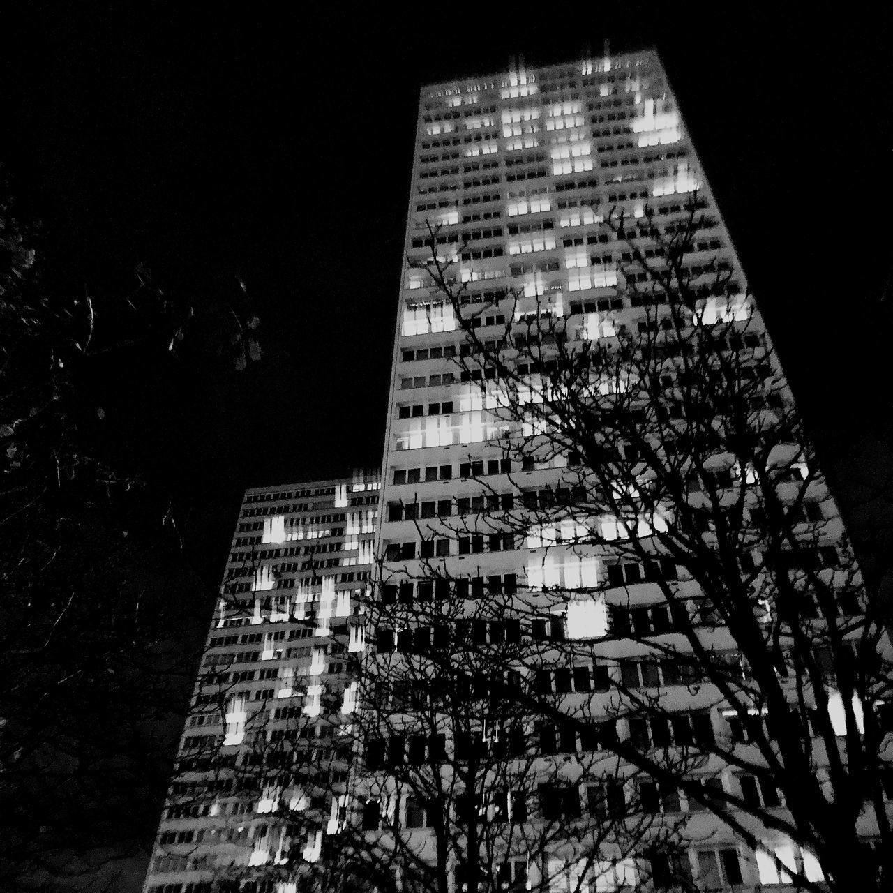 building exterior, built structure, architecture, low angle view, night, building, sky, plant, no people, city, illuminated, tall - high, office building exterior, tree, nature, modern, skyscraper, outdoors, tower, office, apartment