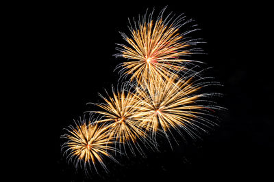 Low angle view of firework display at night
