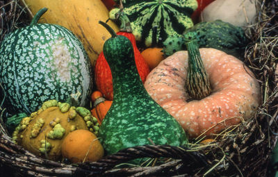 Fresh vegetables in basket