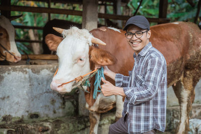 Close-up of cow