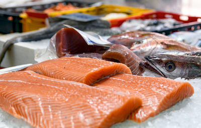 Close-up selective focus image of fish for sale in fish market, ice, tray.