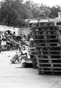 Woman standing on tree trunk