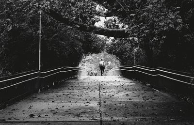 People standing on footbridge amidst trees in forest