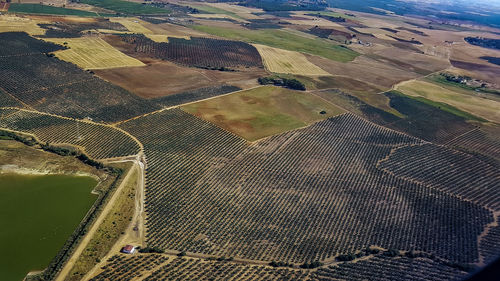 High angle view of agricultural field