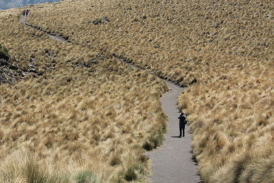 Rear view of man walking in desert