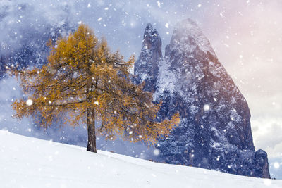 Tree on snow covered land against cloudy sky during snowfall