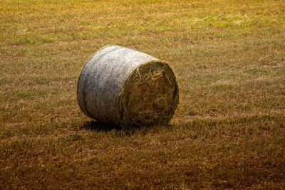 Puglia country side