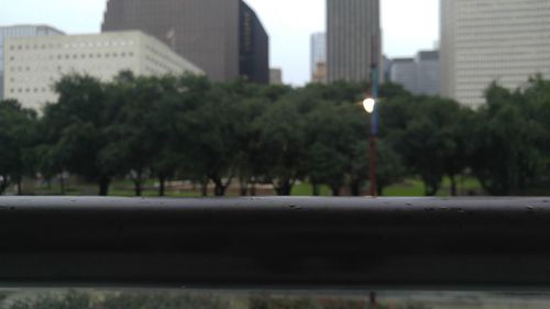 Trees in front of building