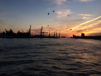 Silhouette birds flying over sea against sky during sunset