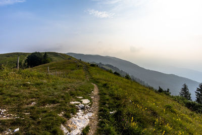 Path between the grassy meadows of the mountains around lake revine lake treviso veneto italy