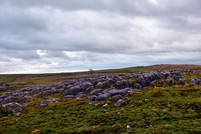 Scenic view of llimestone pavement landscape against sky