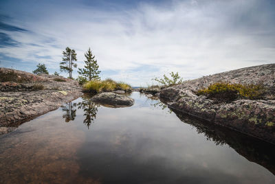 Reflection of tree in lake against sky