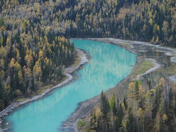 High angle view of river by trees at xinjiang kanas national geopark