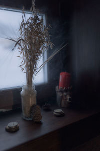 Close-up of potted plant on table at home