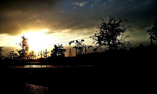 Close-up of wet silhouette trees against sky during sunset