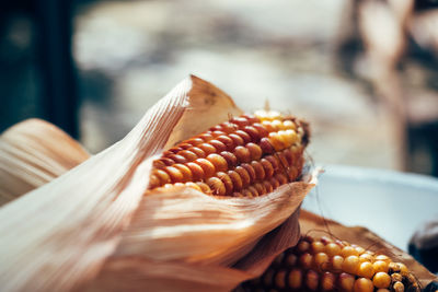 Close-up of corns
