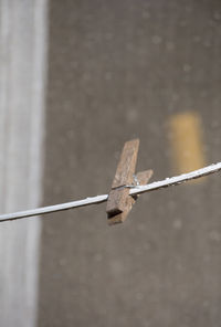 Single clothespin hanging on a cord in front of a window
