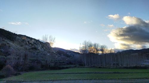 Scenic view of field against sky