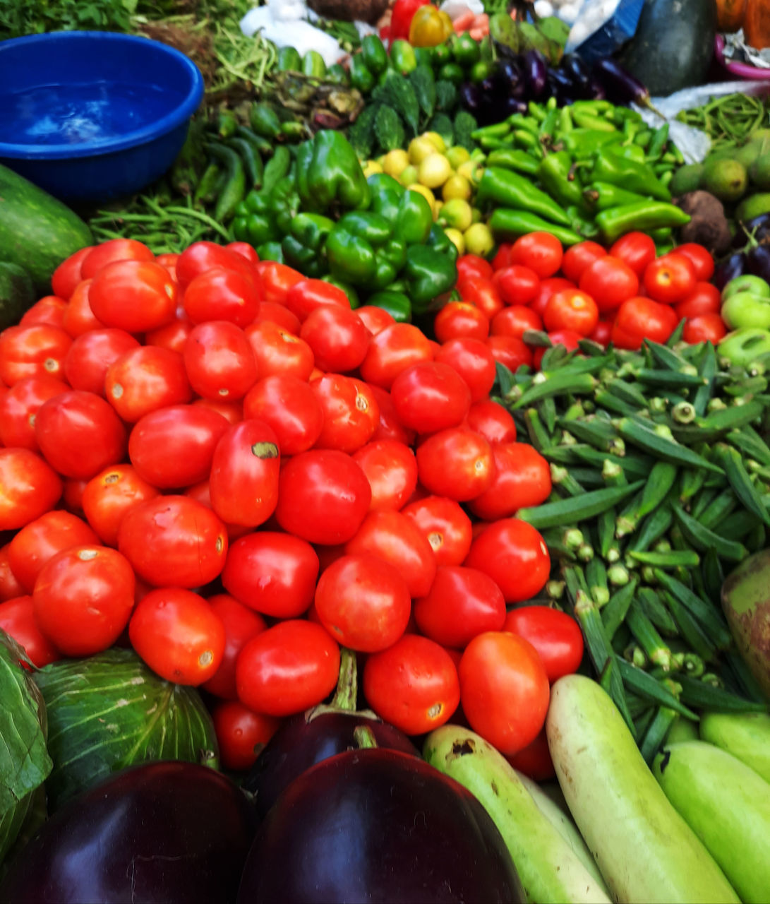 TOMATOES FOR SALE IN MARKET