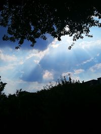 Low angle view of silhouette trees against sky