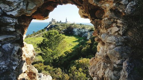 View of trees on rock formation