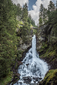 View of waterfall along trees